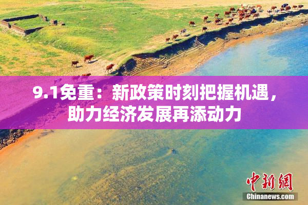 9.1免重：新政策时刻把握机遇，助力经济发展再添动力