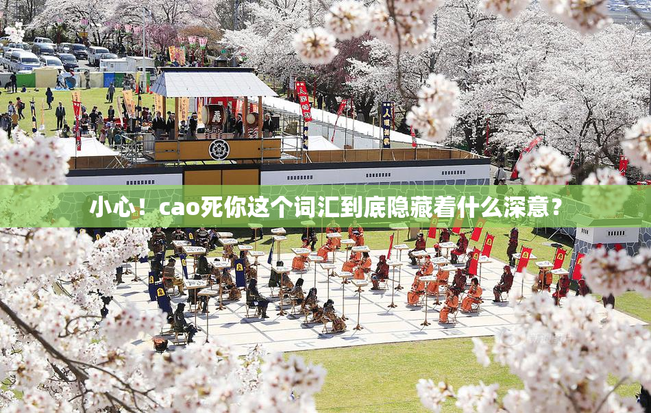 小心！cao死你这个词汇到底隐藏着什么深意？