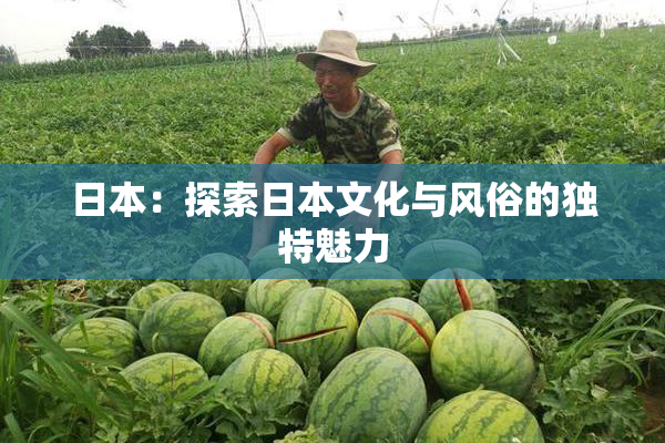 日本：探索日本文化与风俗的独特魅力