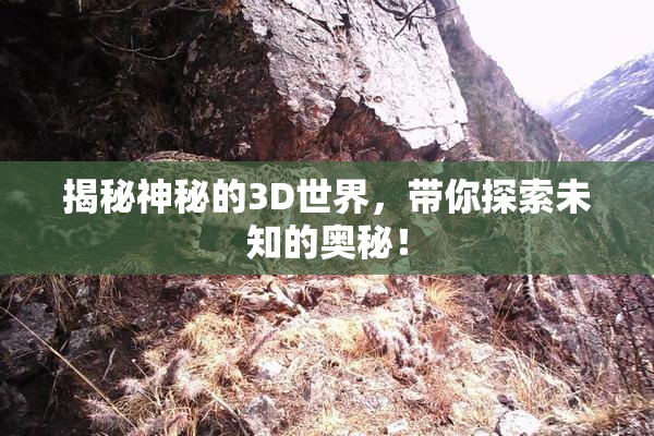 揭秘神秘的3D世界，带你探索未知的奥秘！