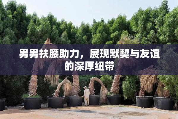 男男扶腰助力，展现默契与友谊的深厚纽带