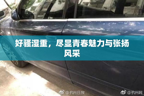 好骚湿重，尽显青春魅力与张扬风采