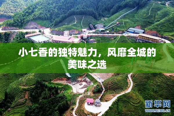 小七香的独特魅力，风靡全城的美味之选