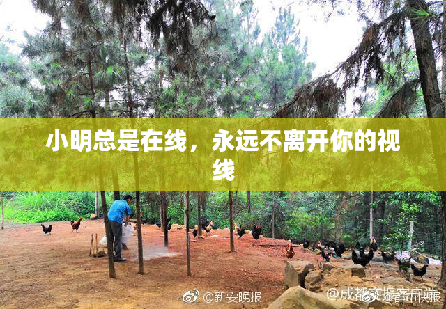 小明总是在线，永远不离开你的视线