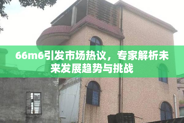 66m6引发市场热议，专家解析未来发展趋势与挑战