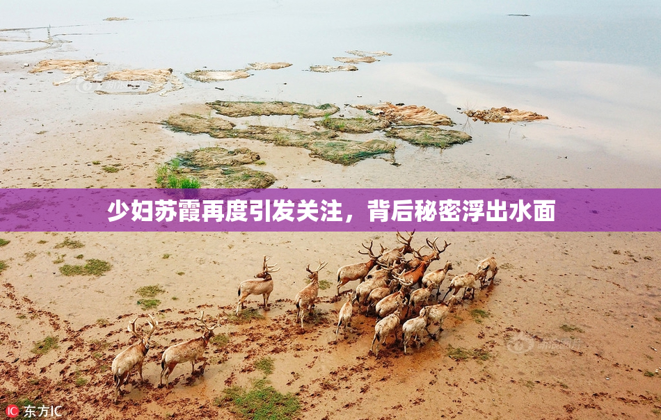 少妇苏霞再度引发关注，背后秘密浮出水面