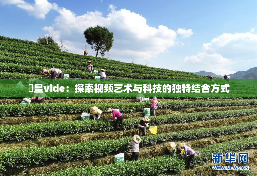 嘼皇vide：探索视频艺术与科技的独特结合方式