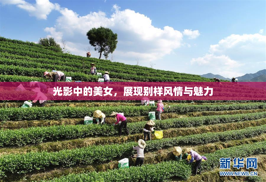 光影中的美女，展现别样风情与魅力