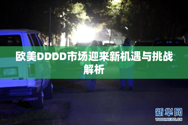 欧美DDDD市场迎来新机遇与挑战解析