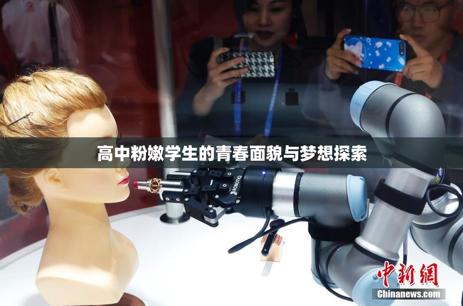 高中粉嫩学生的青春面貌与梦想探索