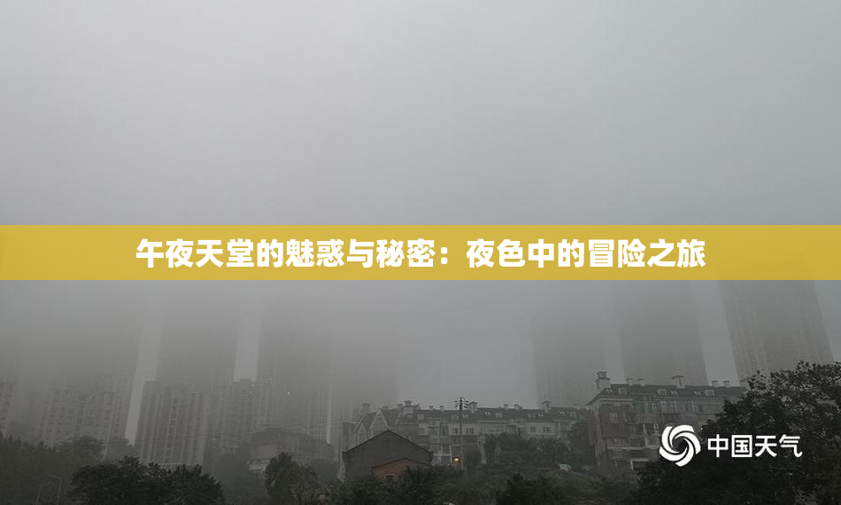 午夜天堂的魅惑与秘密：夜色中的冒险之旅