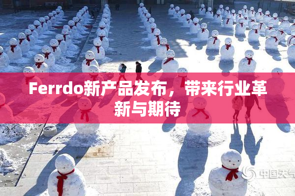 Ferrdo新产品发布，带来行业革新与期待