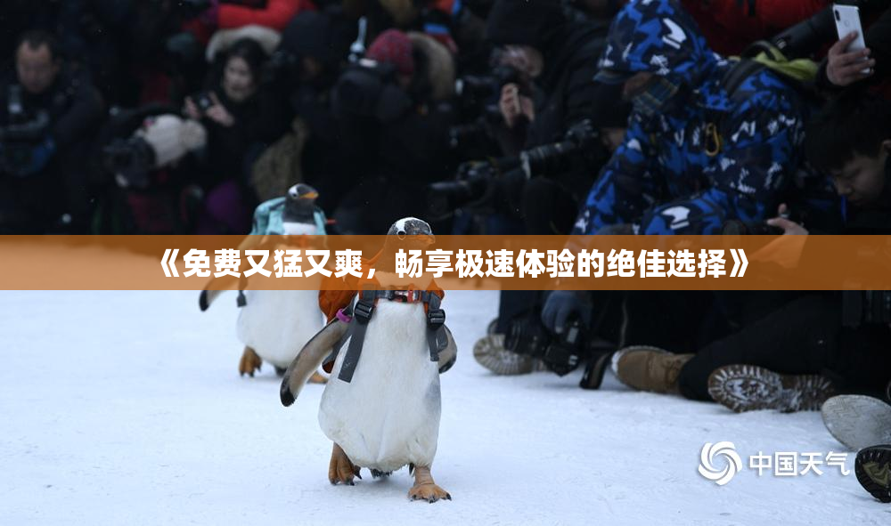 《免费又猛又爽，畅享极速体验的绝佳选择》