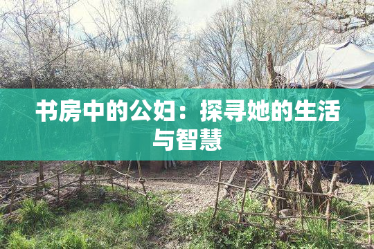 书房中的公妇：探寻她的生活与智慧
