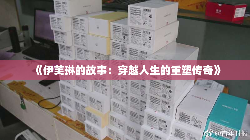 《伊芙琳的故事：穿越人生的重塑传奇》