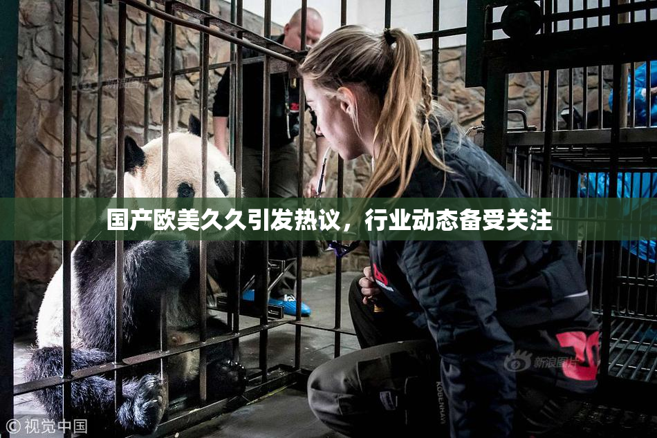 国产欧美久久引发热议，行业动态备受关注