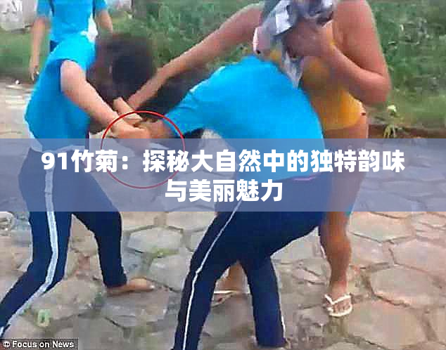 91竹菊：探秘大自然中的独特韵味与美丽魅力