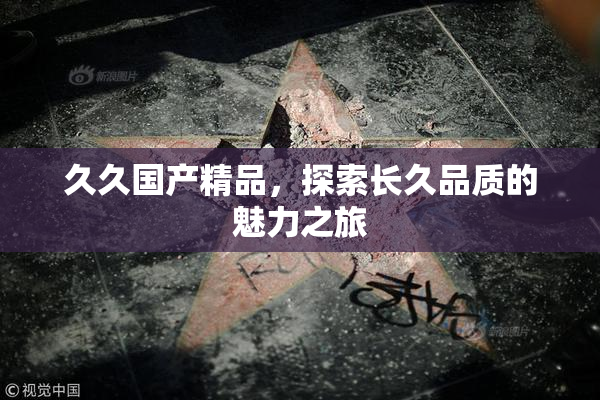 久久国产精品，探索长久品质的魅力之旅