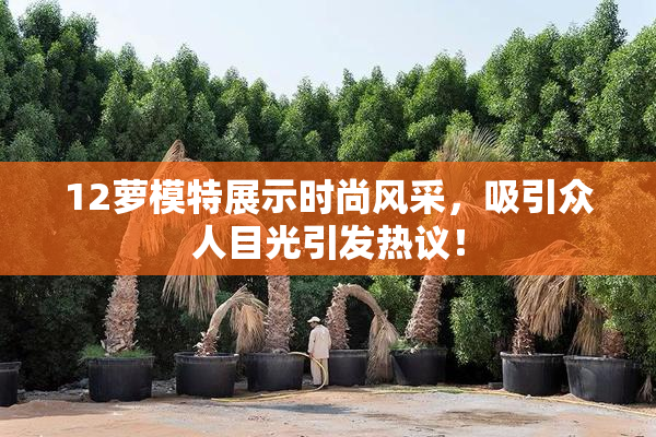 12萝模特展示时尚风采，吸引众人目光引发热议！
