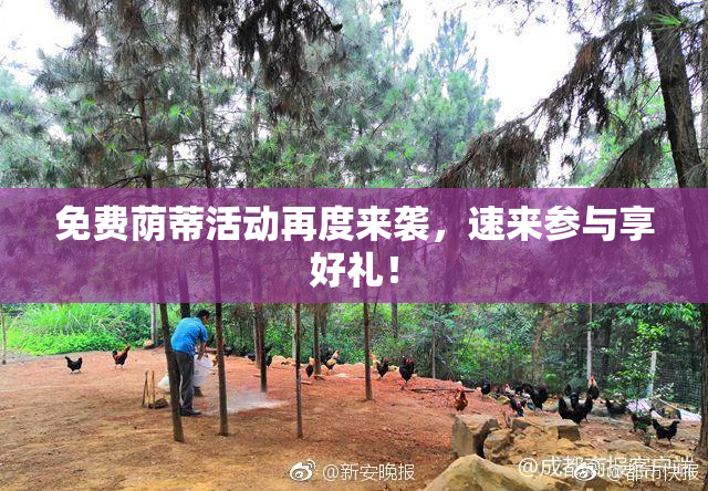 免费荫蒂活动再度来袭，速来参与享好礼！