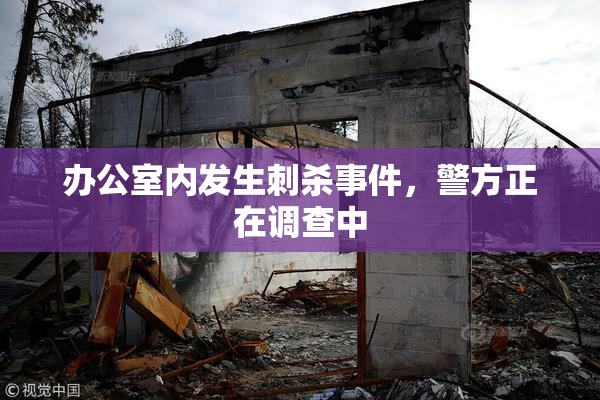 办公室内发生刺杀事件，警方正在调查中
