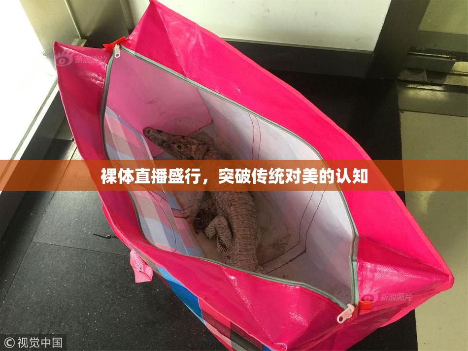 裸体直播盛行，突破传统对美的认知