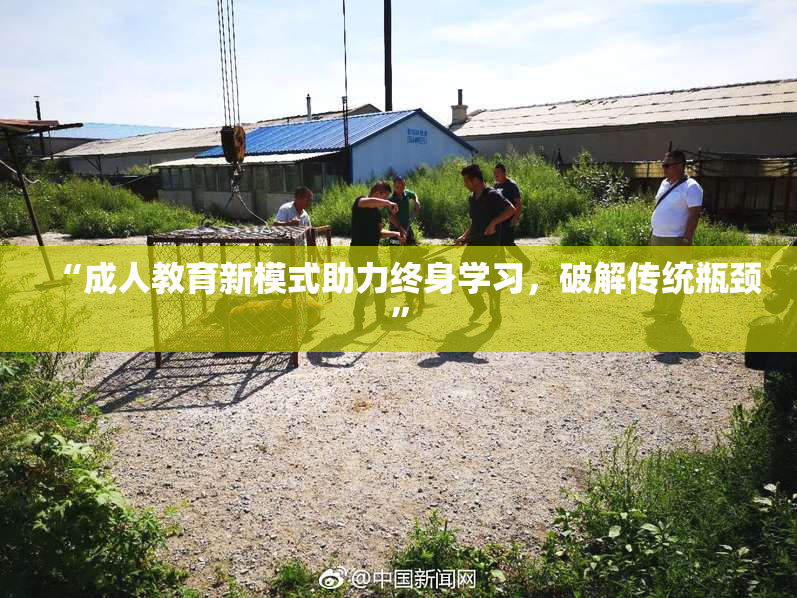 “成人教育新模式助力终身学习，破解传统瓶颈”