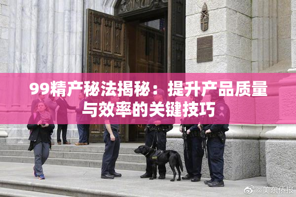 99精产秘法揭秘：提升产品质量与效率的关键技巧