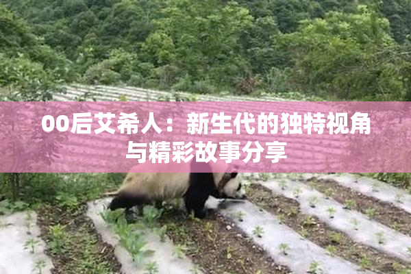 00后艾希人：新生代的独特视角与精彩故事分享