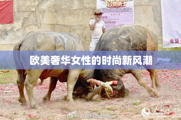 欧美奢华女性的时尚新风潮