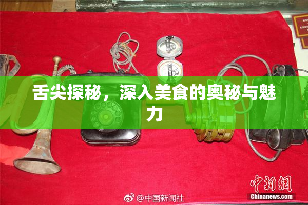 舌尖探秘，深入美食的奥秘与魅力