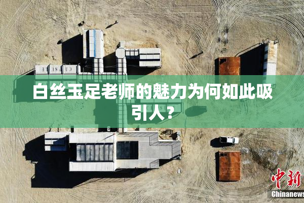 白丝玉足老师的魅力为何如此吸引人？