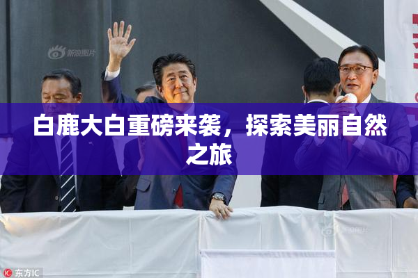 白鹿大白重磅来袭，探索美丽自然之旅