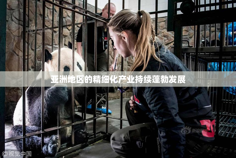 亚洲地区的精细化产业持续蓬勃发展