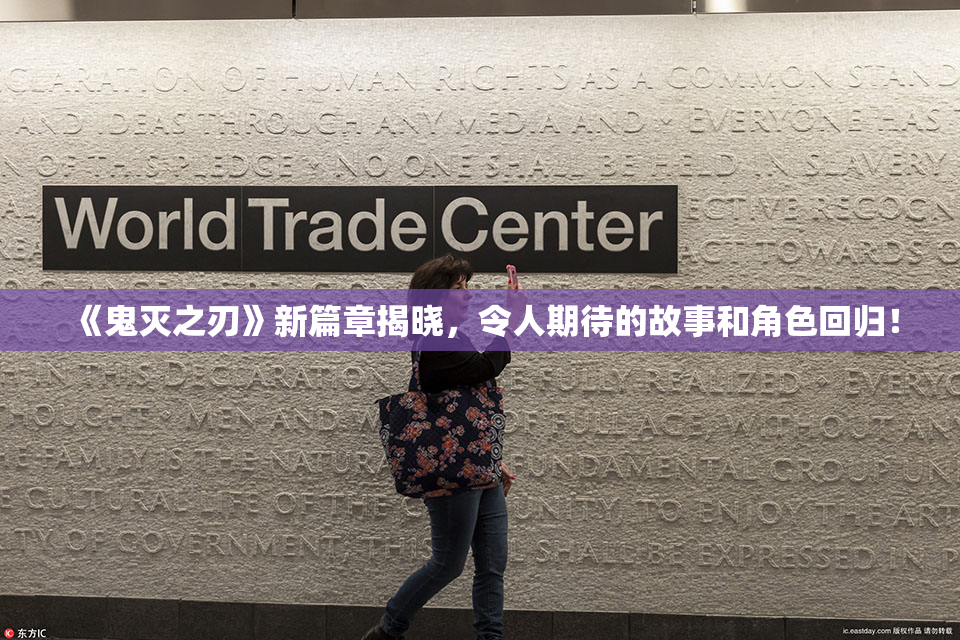 《鬼灭之刃》新篇章揭晓，令人期待的故事和角色回归！