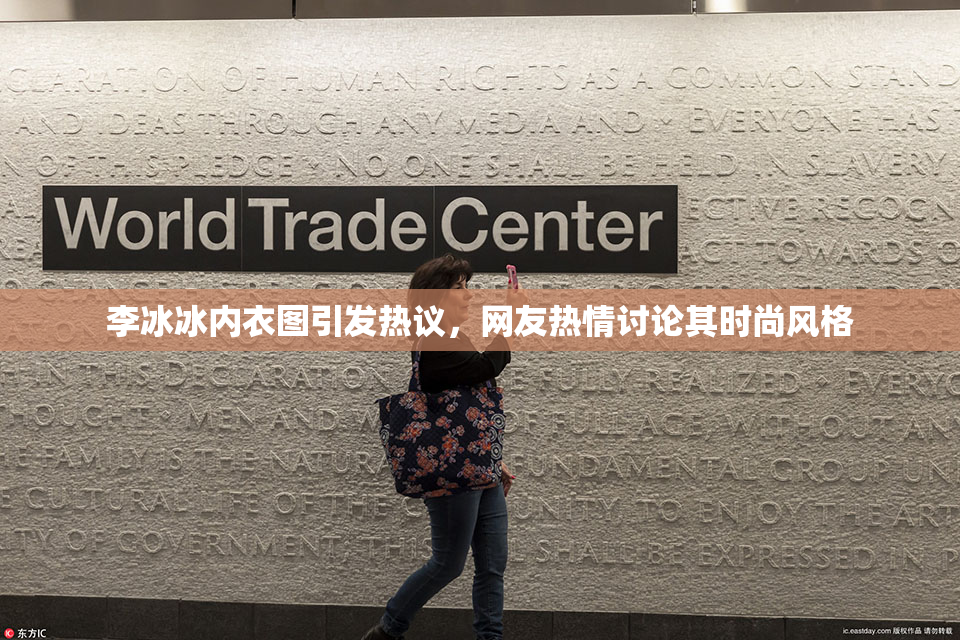 李冰冰内衣图引发热议，网友热情讨论其时尚风格