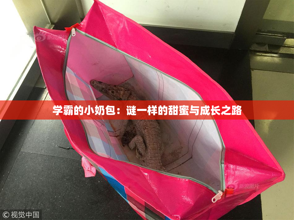 学霸的小奶包：谜一样的甜蜜与成长之路
