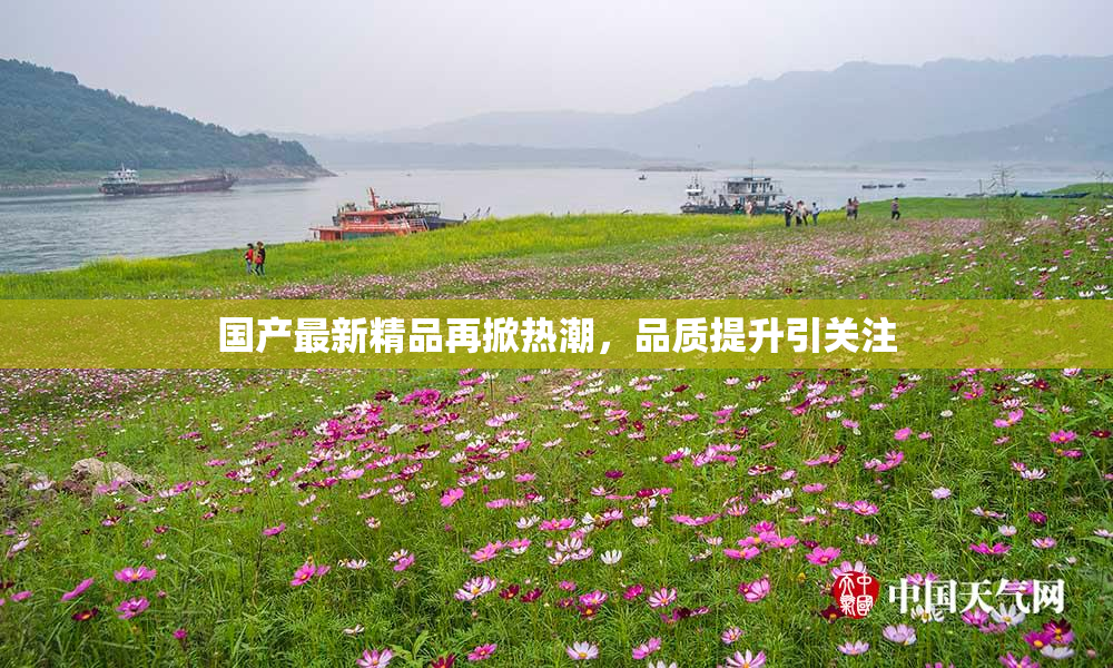 国产最新精品再掀热潮，品质提升引关注