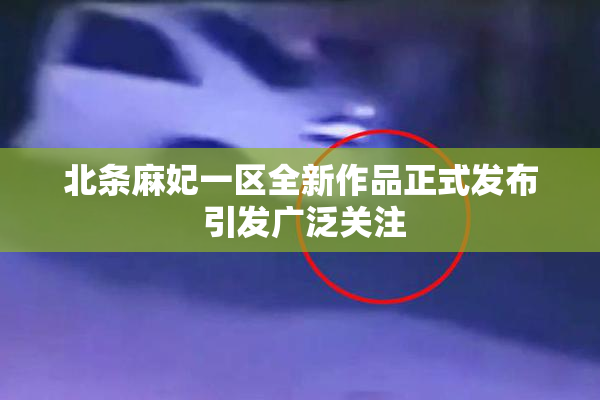 北条麻妃一区全新作品正式发布 引发广泛关注