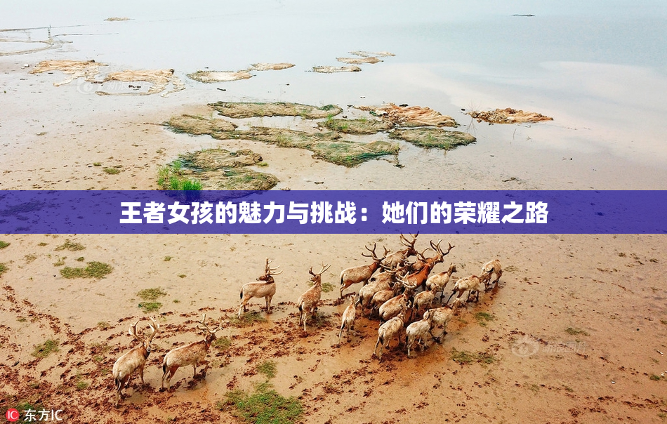 王者女孩的魅力与挑战：她们的荣耀之路