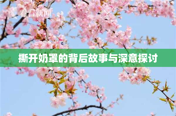 撕开奶罩的背后故事与深意探讨