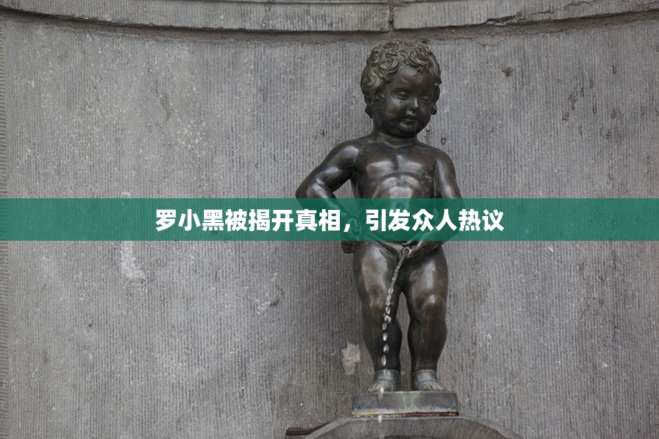 罗小黑被揭开真相，引发众人热议