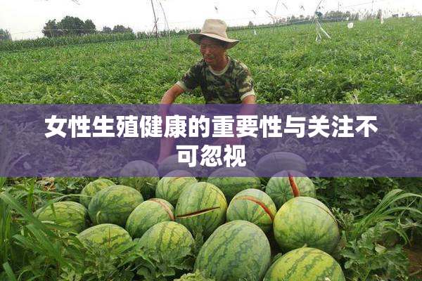女性生殖健康的重要性与关注不可忽视