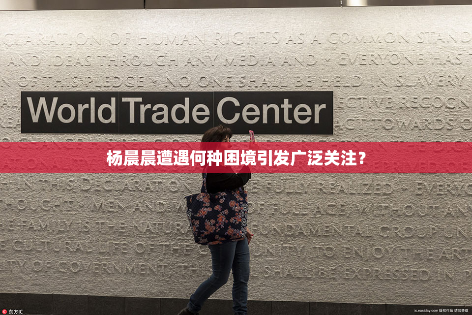 杨晨晨遭遇何种困境引发广泛关注？