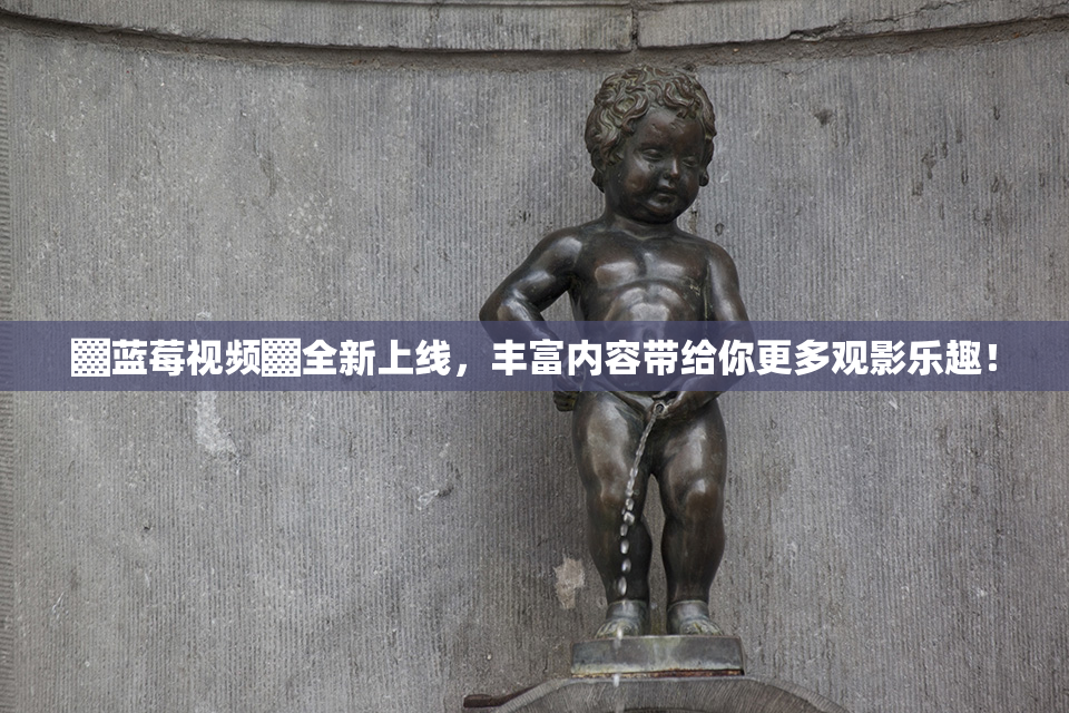 ▓蓝莓视频▓全新上线，丰富内容带给你更多观影乐趣！