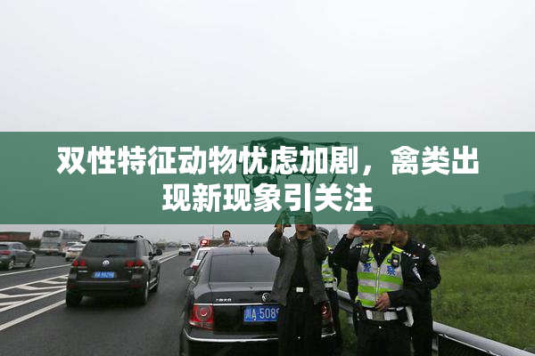 双性特征动物忧虑加剧，禽类出现新现象引关注