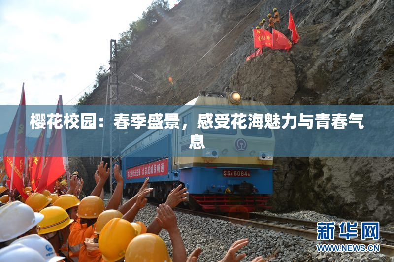 樱花校园：春季盛景，感受花海魅力与青春气息
