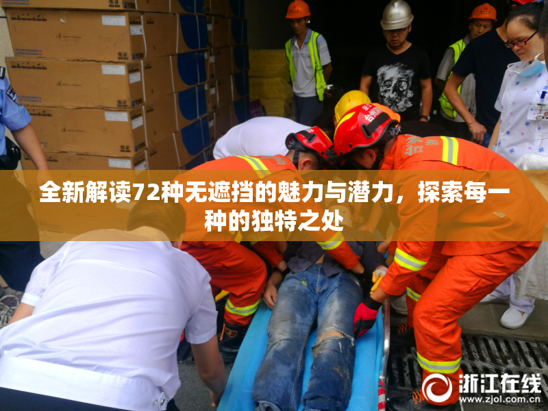 全新解读72种无遮挡的魅力与潜力，探索每一种的独特之处