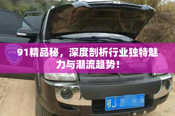 91精品秘，深度剖析行业独特魅力与潮流趋势！