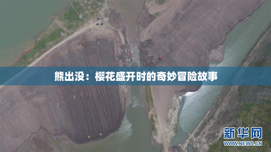 熊出没：樱花盛开时的奇妙冒险故事